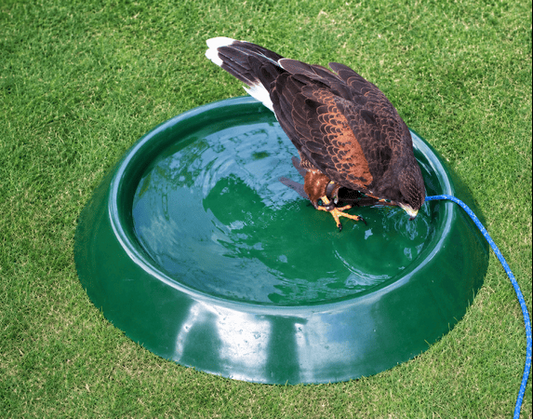 Hawk Baths