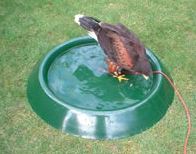 Hawk Baths