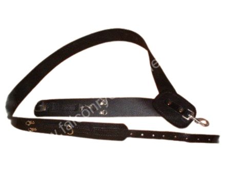Shoulder strap
