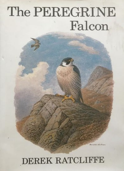 The Peregrine Falcon.